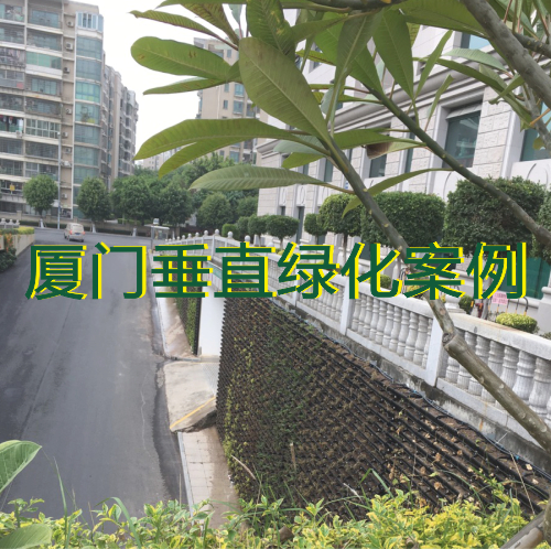 厦门城市道路垂直绿化智能灌溉项目